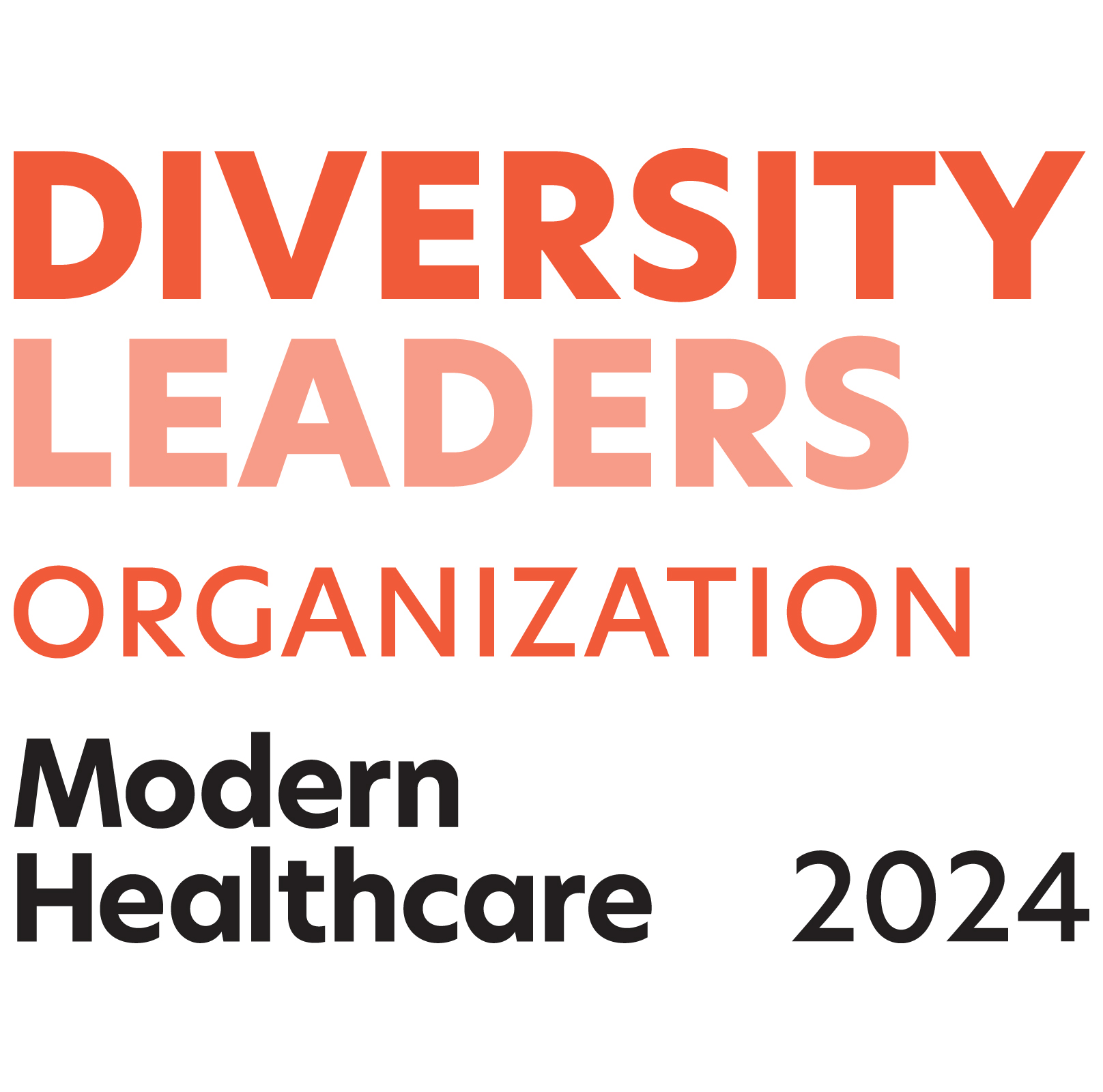 diversity leader organization